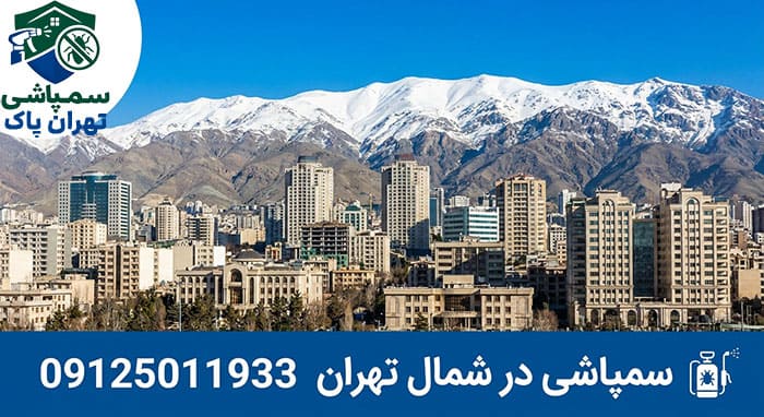 بهترین سمپاشی در شمال تهران کجاست