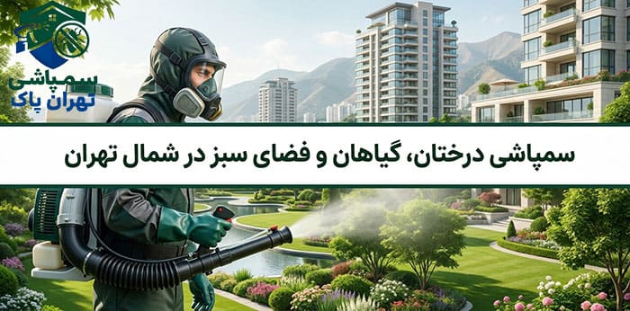 هزینه سمپاشی درختان،گیاهان و فضای سبز در شمال تهران چقدر است