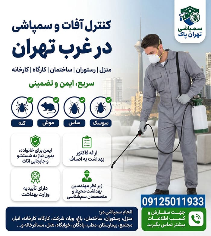 راهنمای انتخاب بهترین شرکت کنترل آفات در غرب تهران