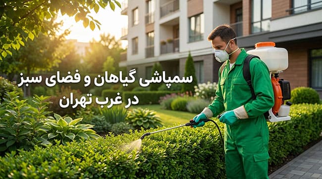 هزینه سمپاشی گیاهان و فضای سبز در غرب تهران 