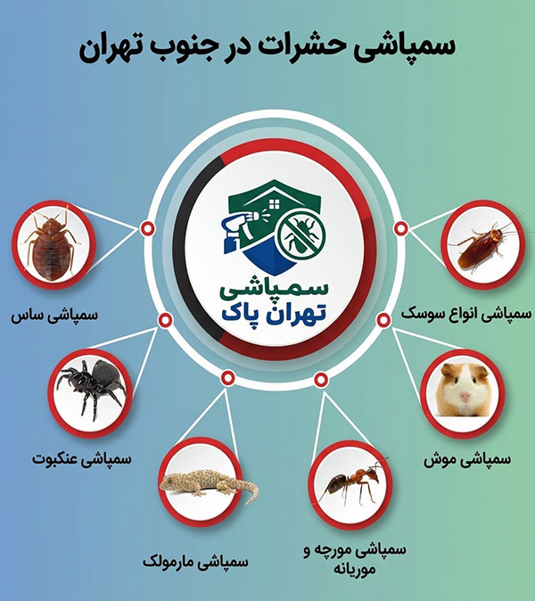 سمپاشی حشرات در جنوب تهران مهمترین نکات ایمنی قبل و هنگام سمپاشی حشرات در جنوب تهران